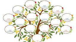 Year 200 Celebration in 2025 -  Advanced Ancestry.ca: Digging Deeper into Irish Genealogy Thursday August 7, 2025 14:00 - 16:00  